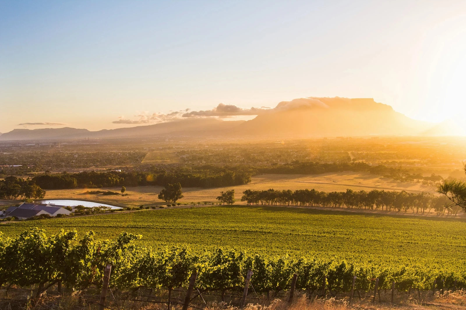 De Grendel Wine Estate and Restaurant, Cape Town South Africa