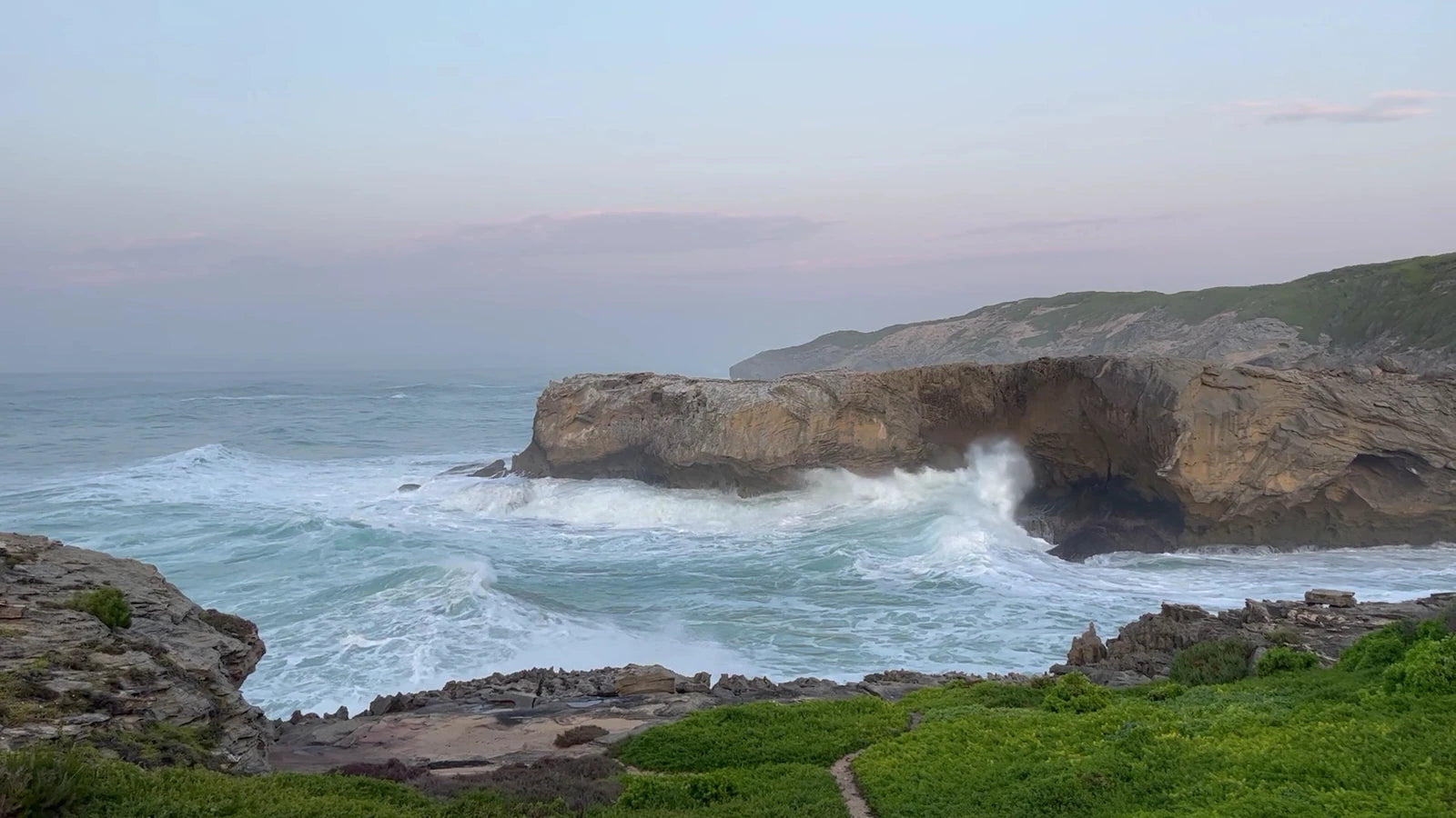 De Hoop Nature Reserve, Potberg South Africa