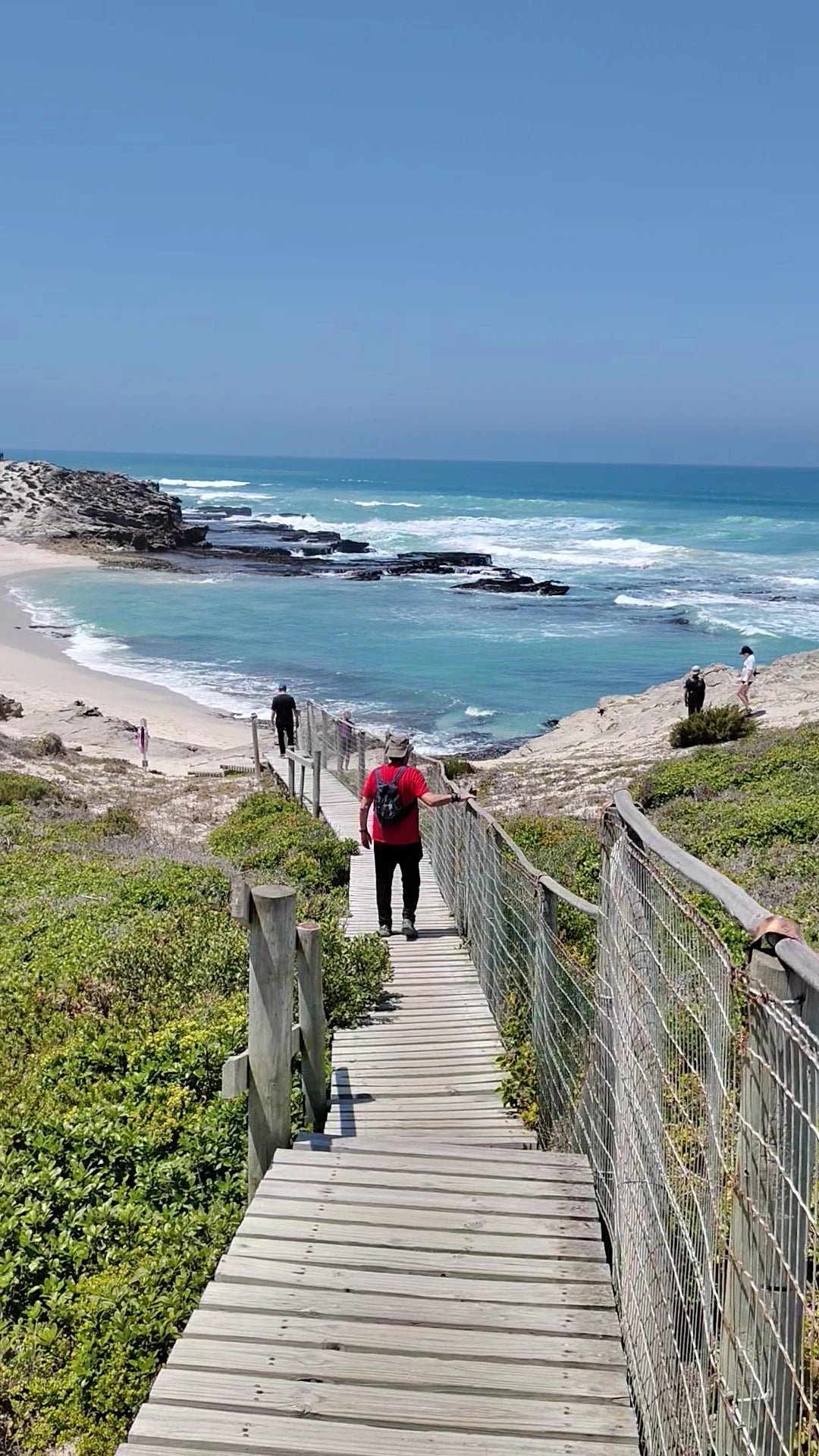 De Hoop Nature Reserve, Potberg South Africa