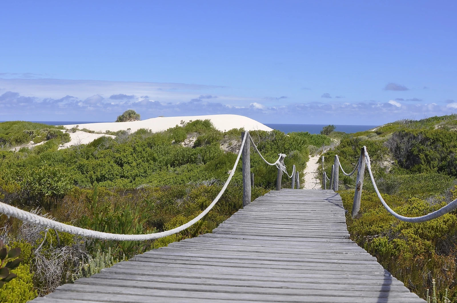 De Hoop Nature Reserve, Potberg South Africa