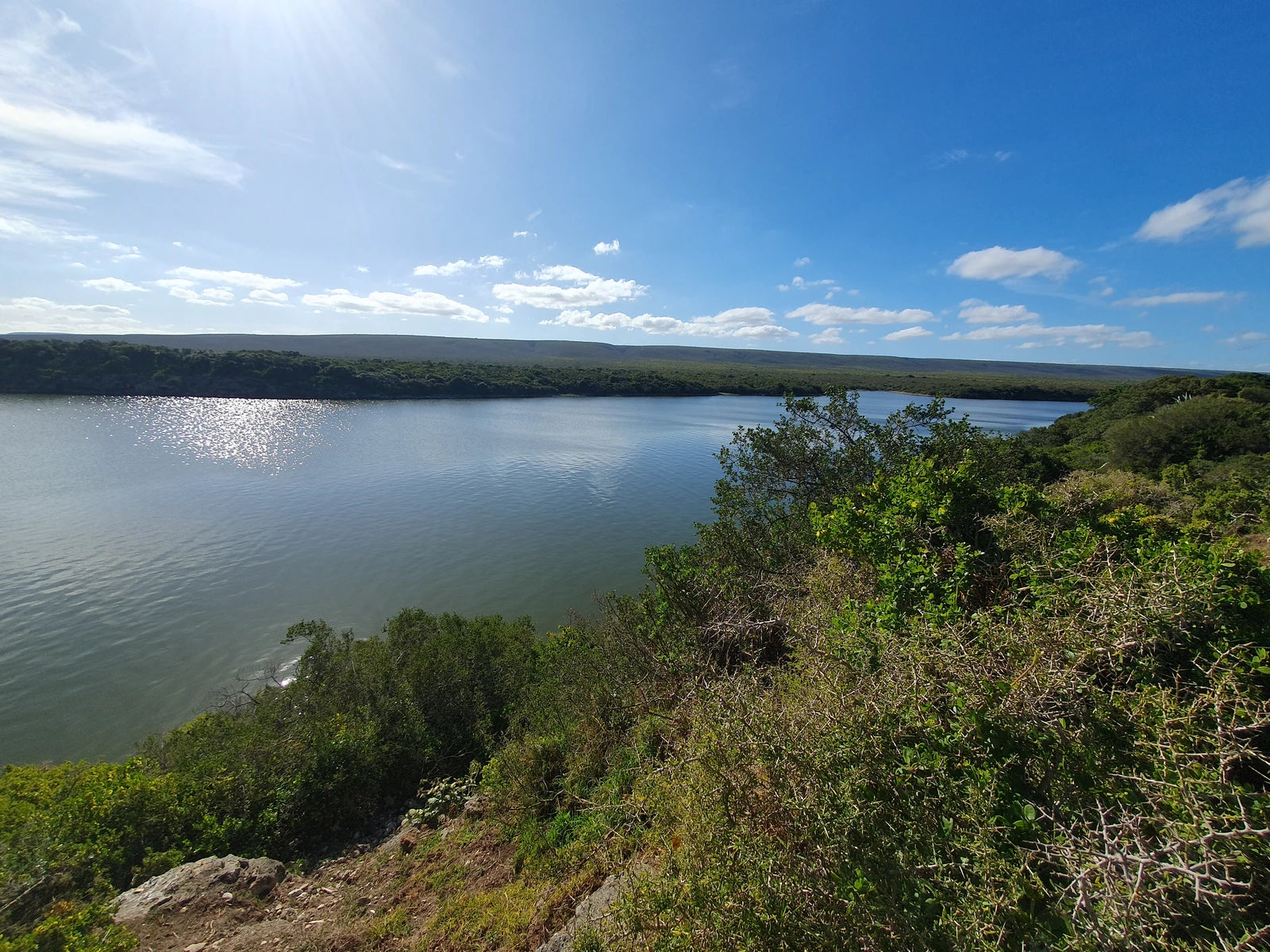 De Hoop Nature Reserve, Potberg South Africa