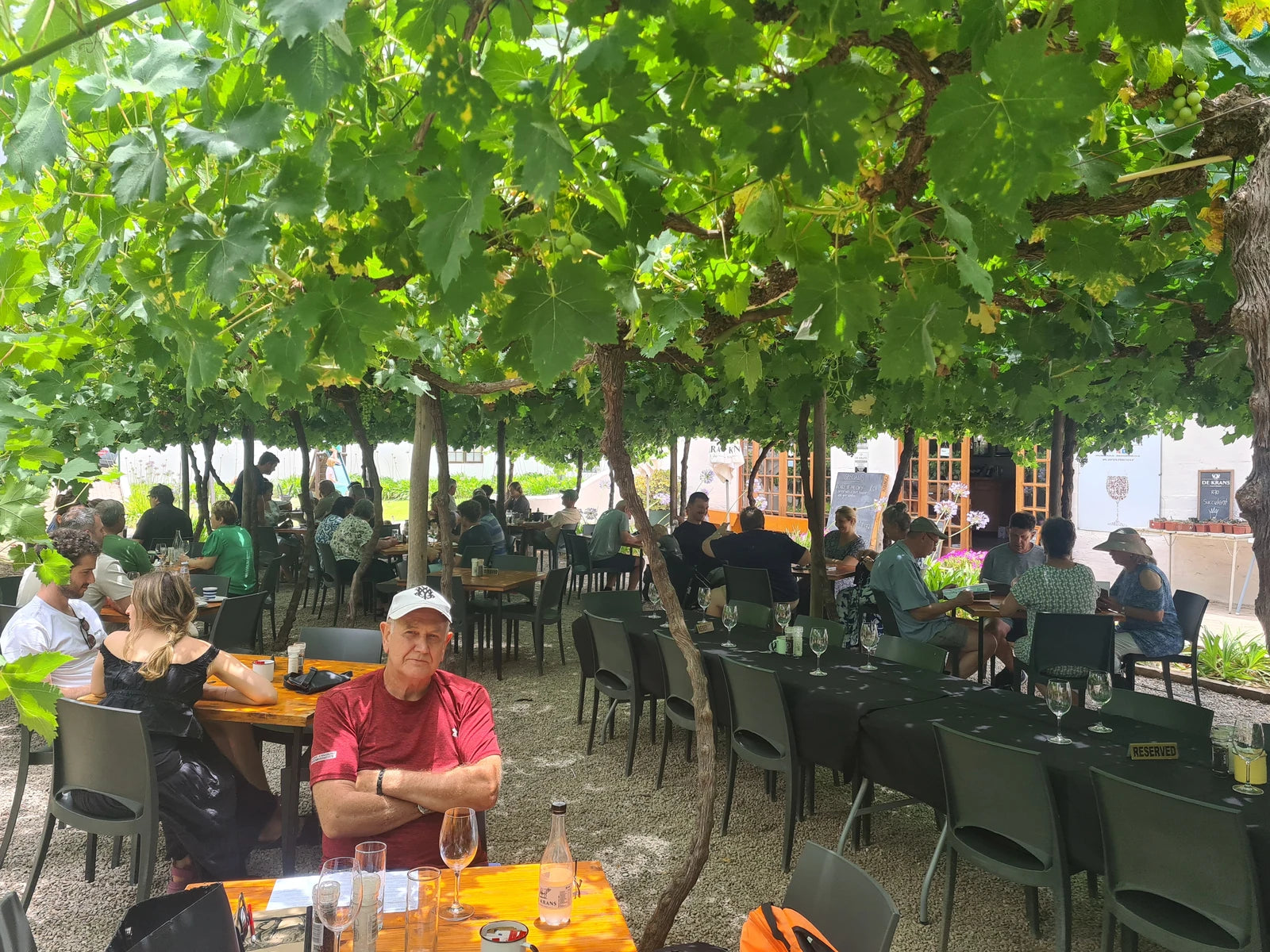 De Krans Wines, Calitzdorp South Africa