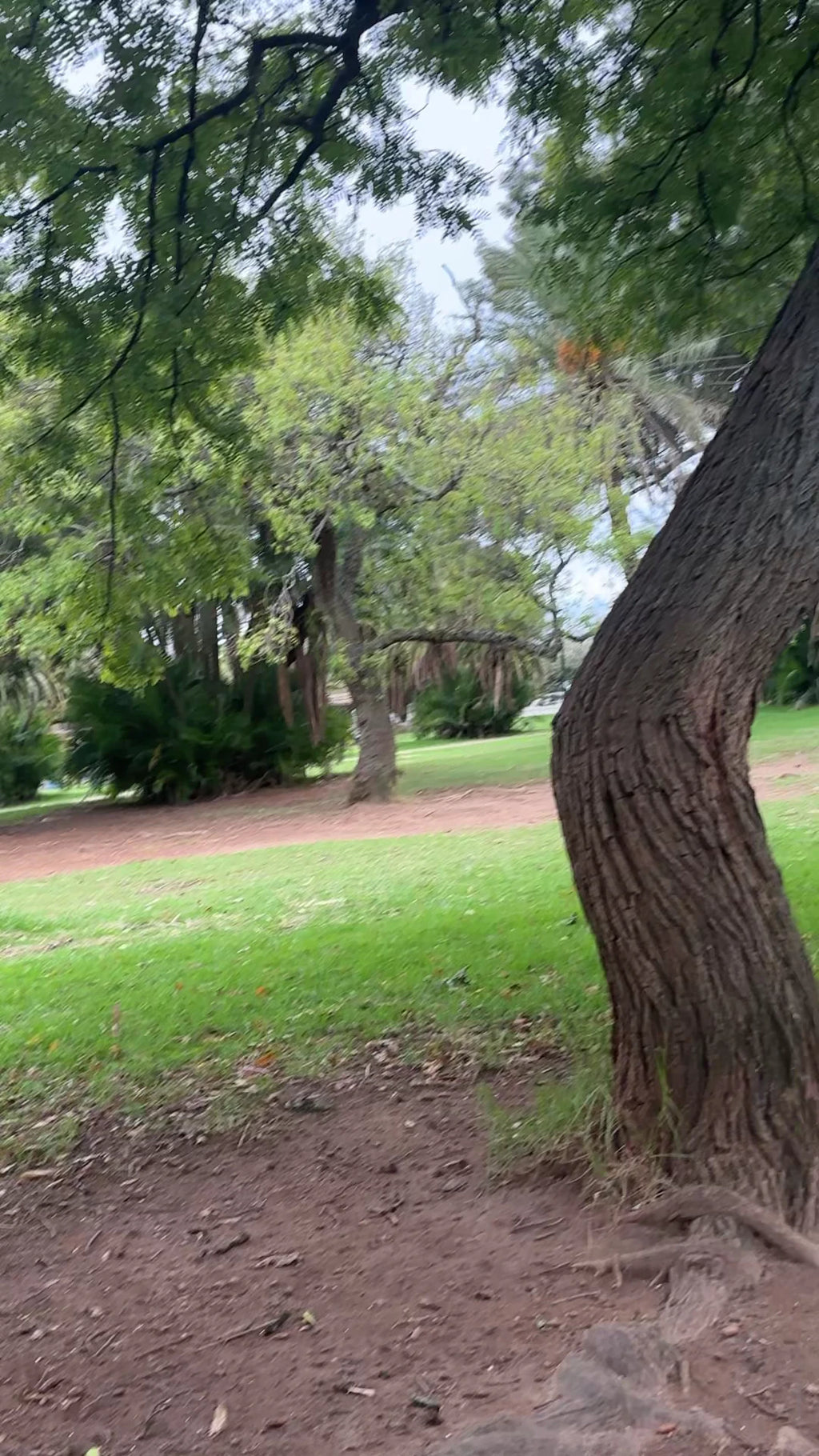 De Waal Park, Cape Town South Africa
