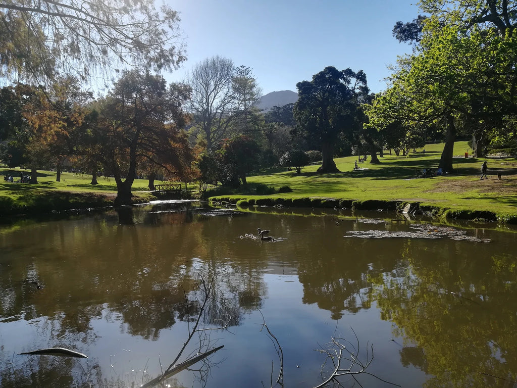 De Waal Park, Cape Town South Africa
