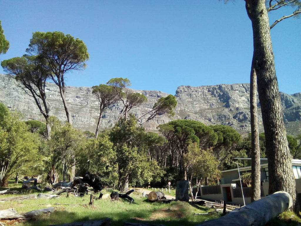 Deer Park, Cape Town South Africa