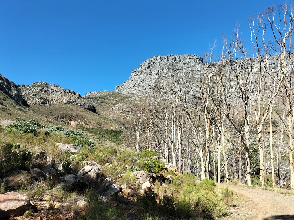 Deer Park, Cape Town South Africa