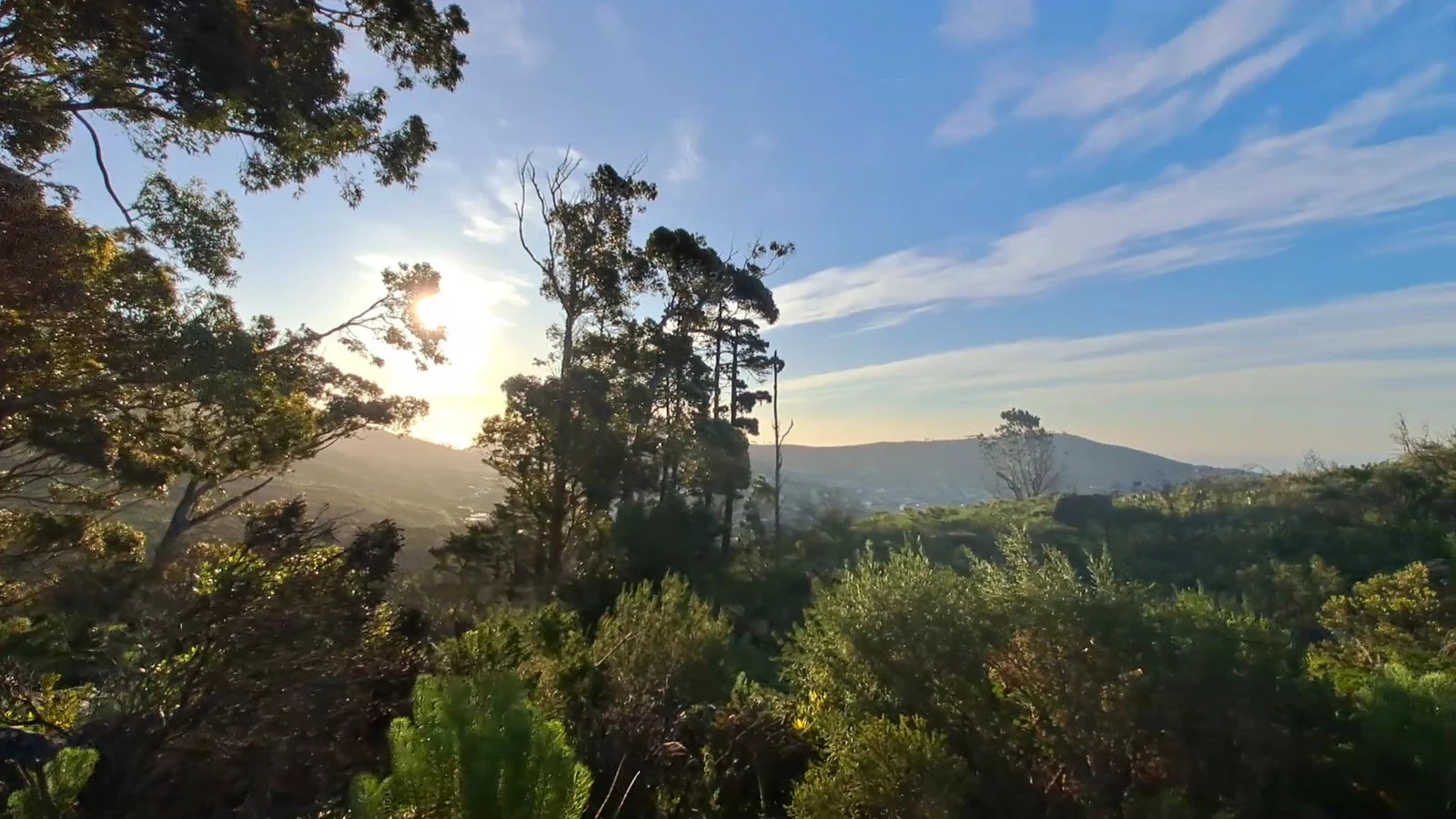 Deer Park, Cape Town South Africa