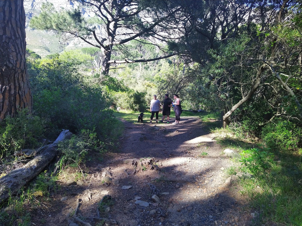 Deer Park, Cape Town South Africa