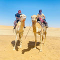 Desert explorers adventure centre, Swakopmund Namibia