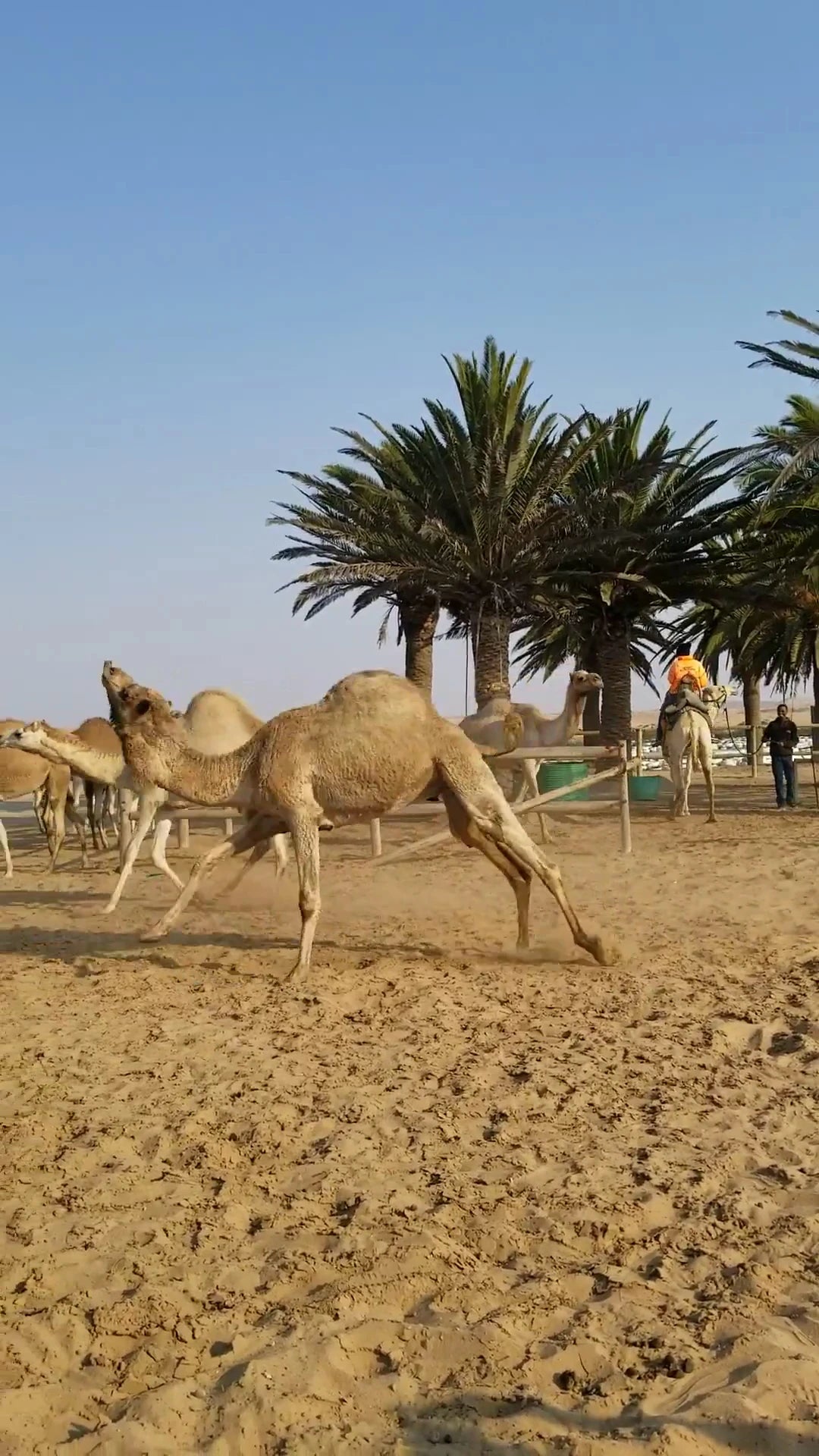 Desert explorers adventure centre, Swakopmund Namibia