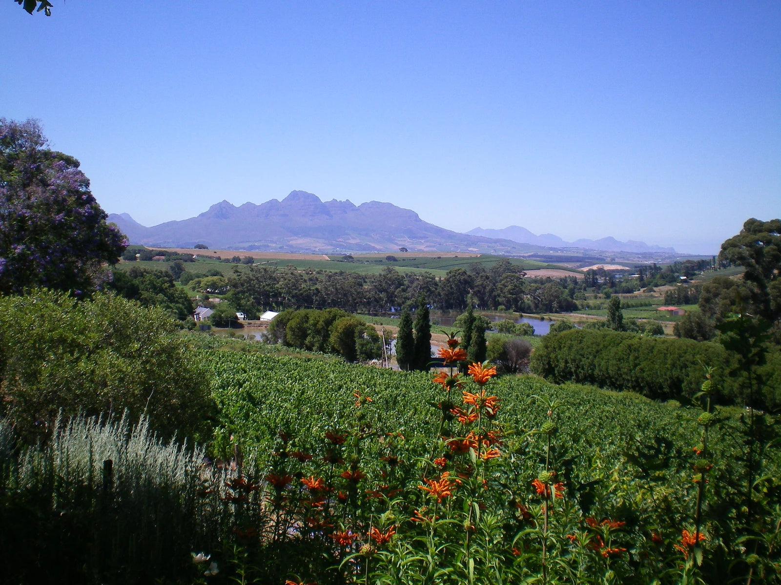Devon Valley Hotel - Stellenbosch, Devonvallei South Africa
