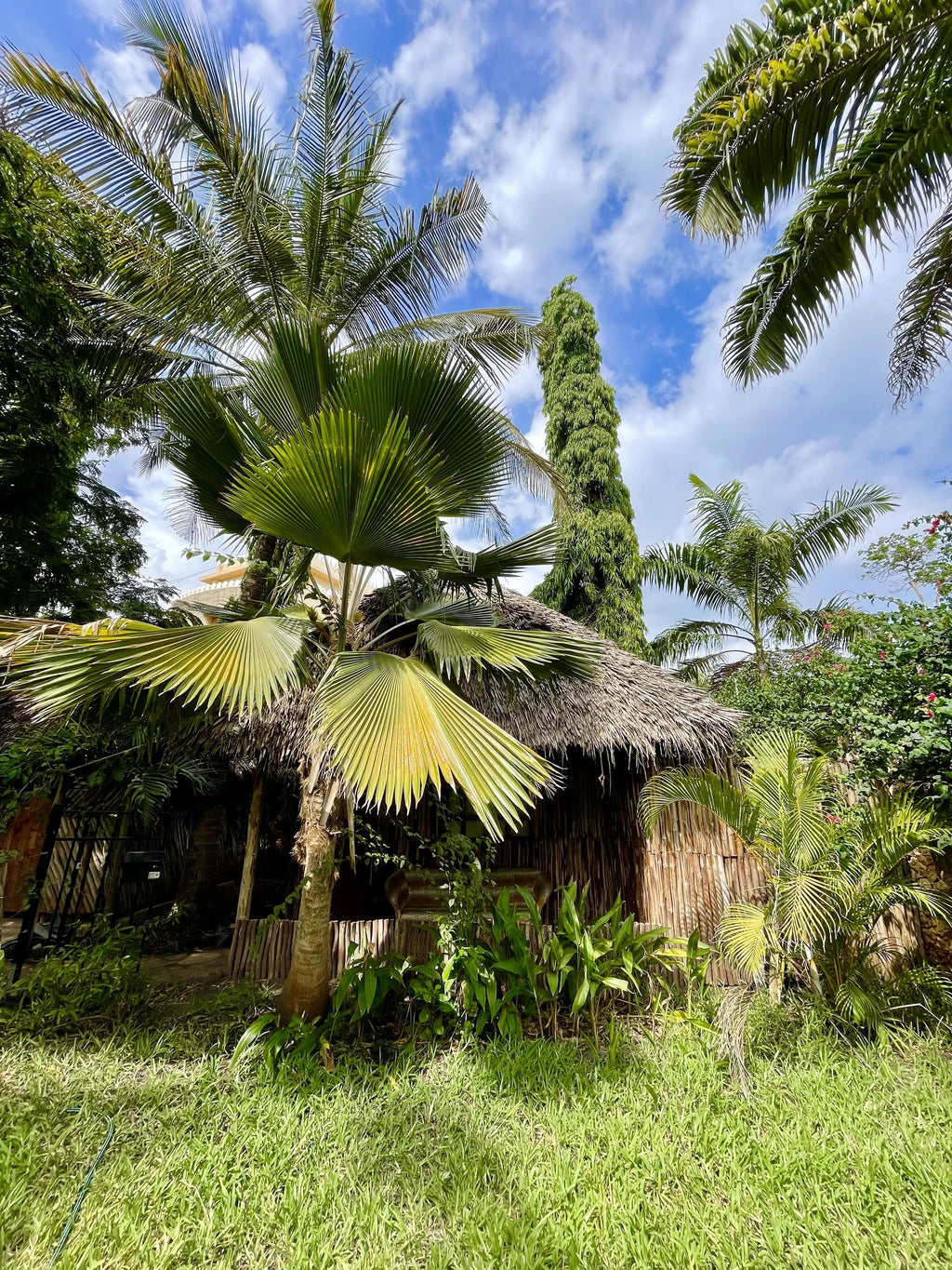 Diani Backpackers, Diani Beach Kenya