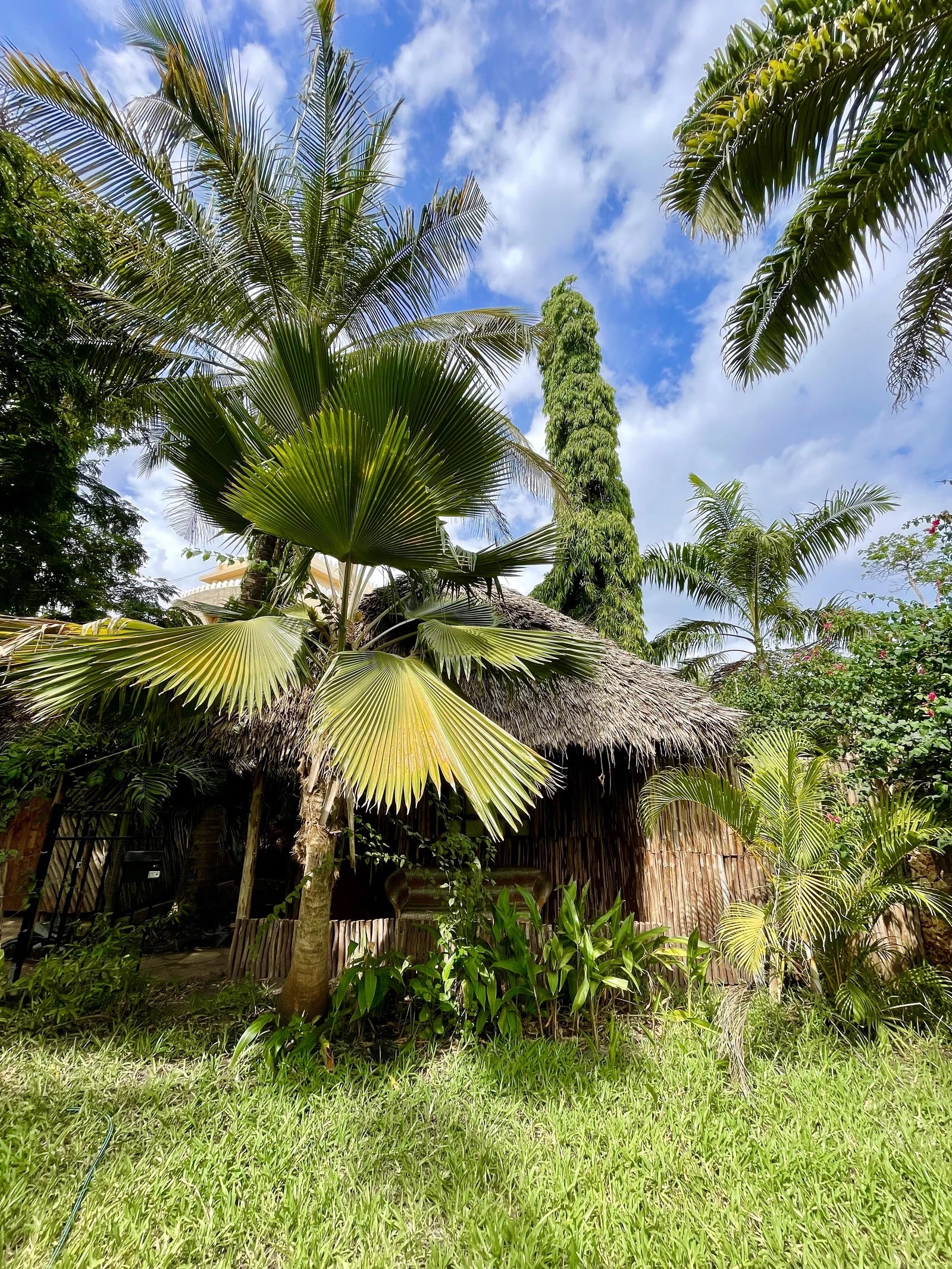 Diani Backpackers, Diani Beach Kenya