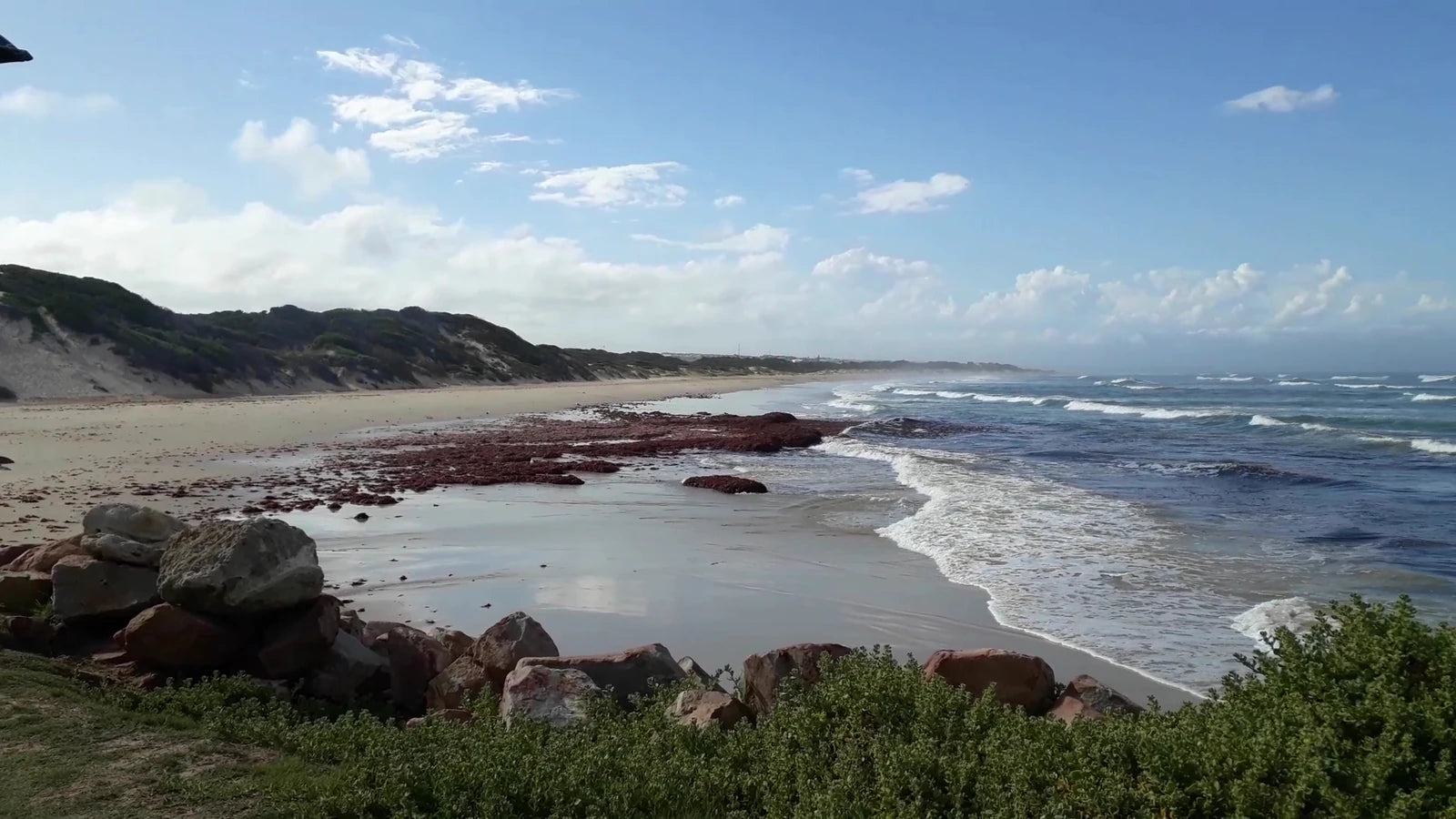 Die Walskipper, Jeffreys Bay South Africa