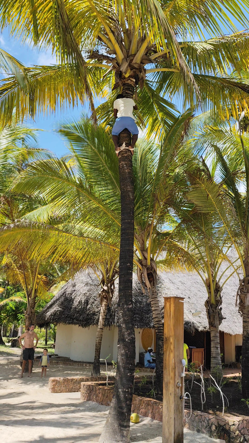 Dongwe Club, Dongwe Tanzania