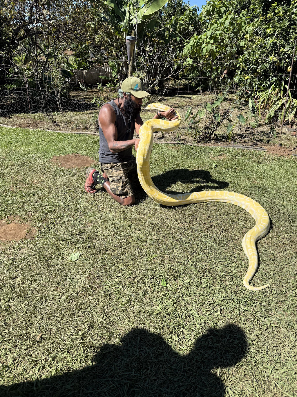 Dragon Rock Reptile and Nature Park, Cathkin Park South Africa