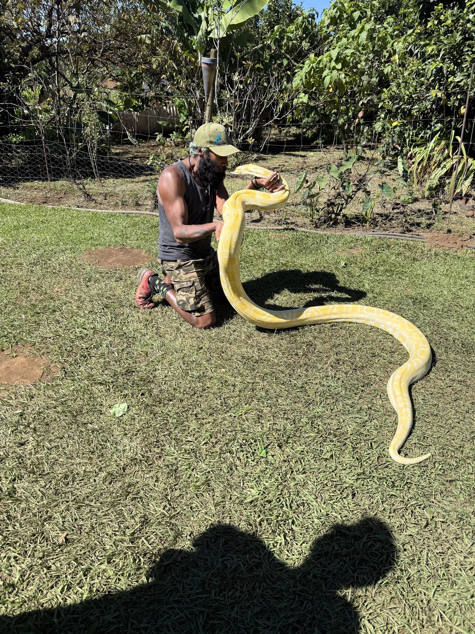 Dragon Rock Reptile and Nature Park, Cathkin Park South Africa