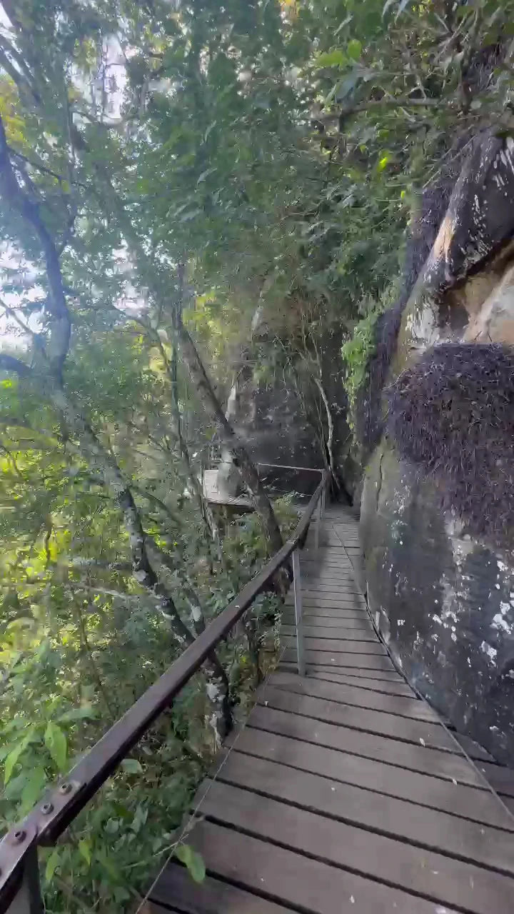 Drakensberg Canopy Tour, 
Cathkin Park South Africa