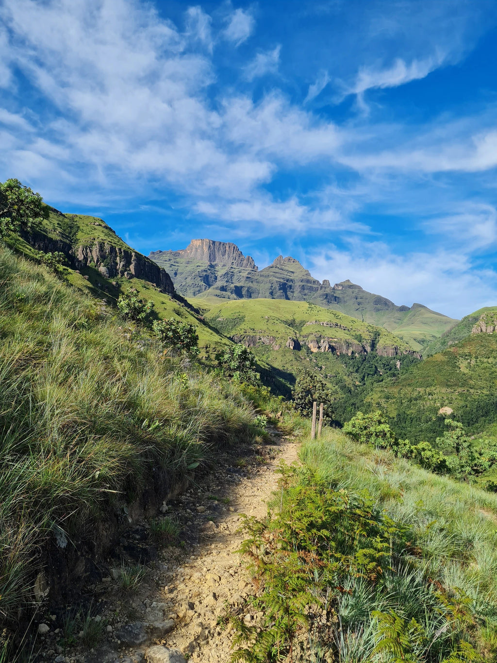 Drakensberg Canopy Tour, 
Cathkin Park South Africa