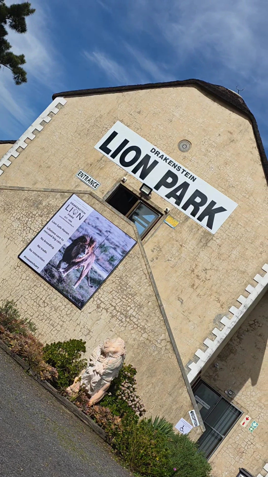 Drakenstein Lion Park, Paarl South Africa