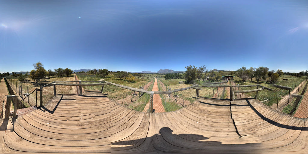 Drakenstein Lion Park, Paarl South Africa