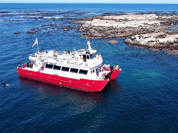 Drumbeat Charters South Africa, Cape Town South Africa