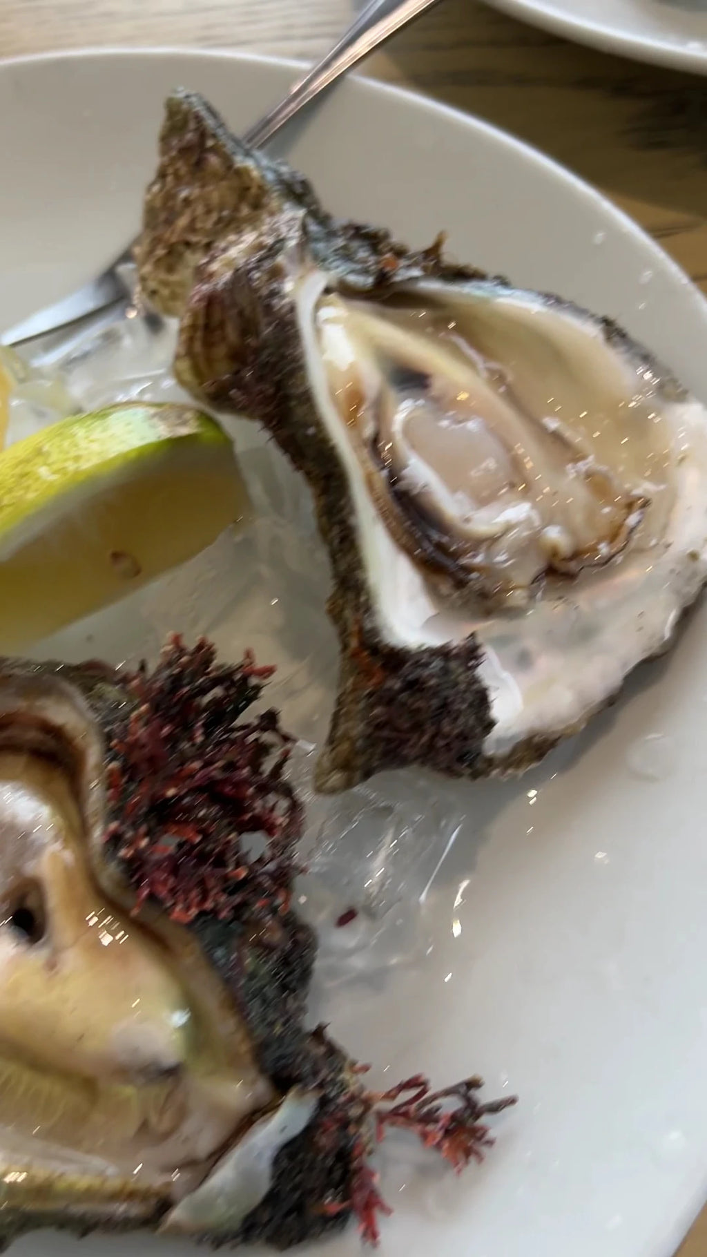 Drydock Food Co, Knysna South Africa