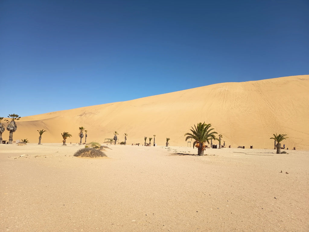 Dune 7, Walvis Bay Namibia