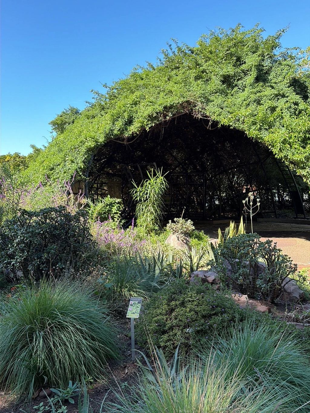 Durban Botanic Gardens, Durban South Africa
