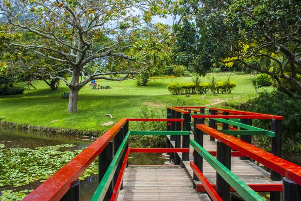 Durban Botanic Gardens, Durban South Africa