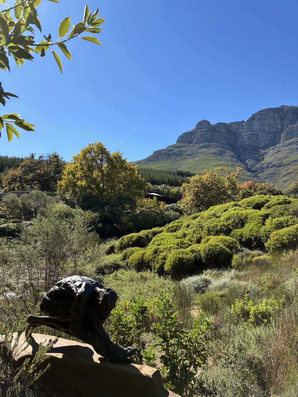 Dylan Lewis Studio & Sculpture Garden, Stellenbosch South Africa