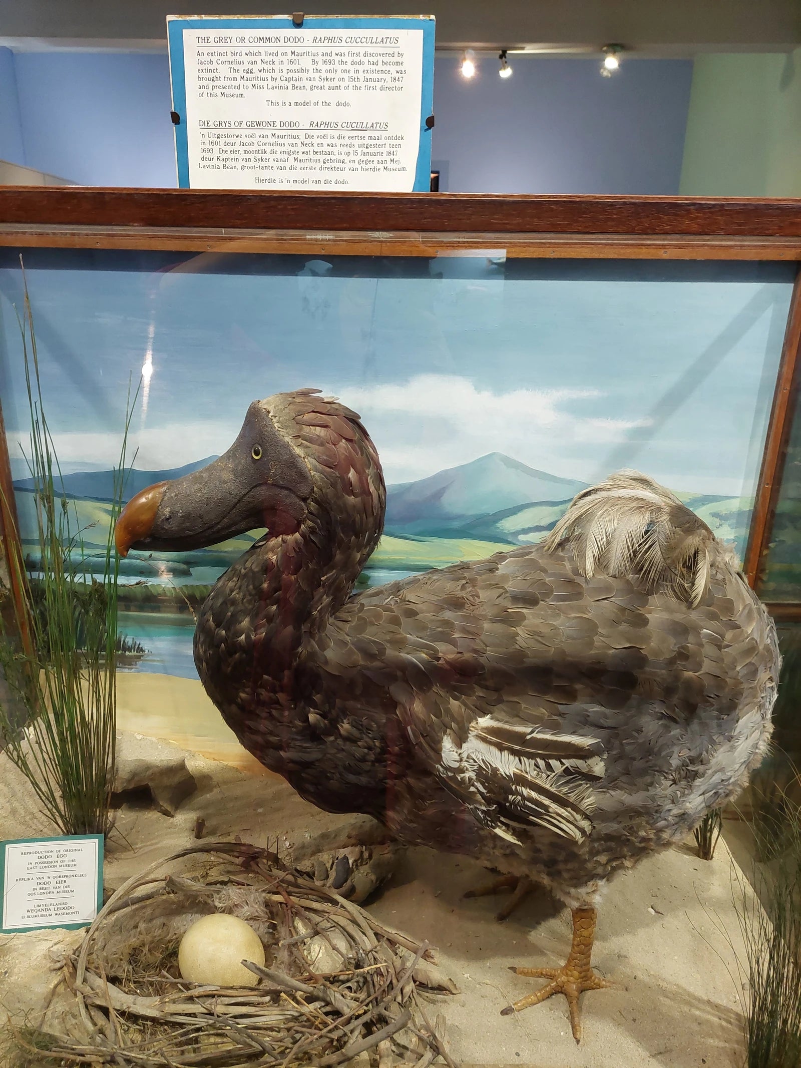 East London Museum