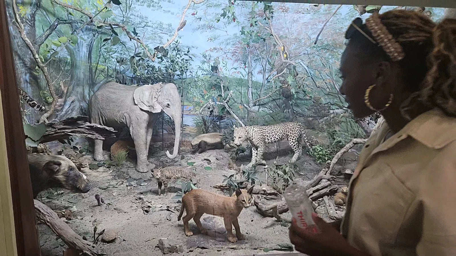 East London Museum, KuGompo City South Africa