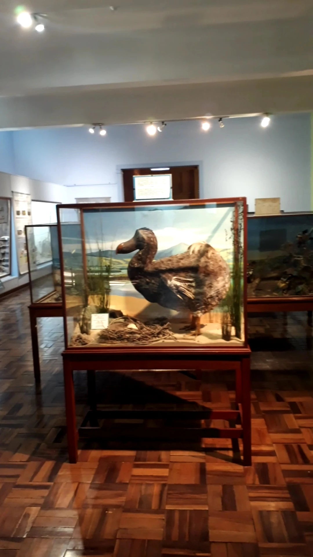 East London Museum, KuGompo City South Africa