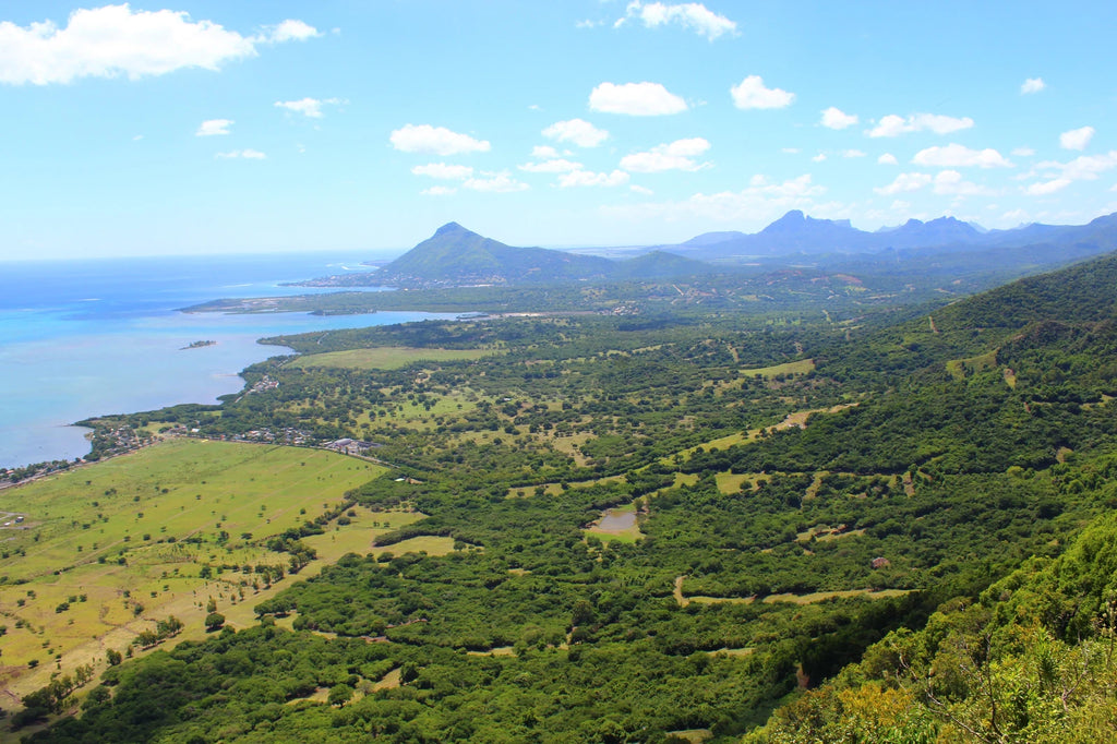 Ebony Forest Reserve Chamarel, 90409 Mauritius