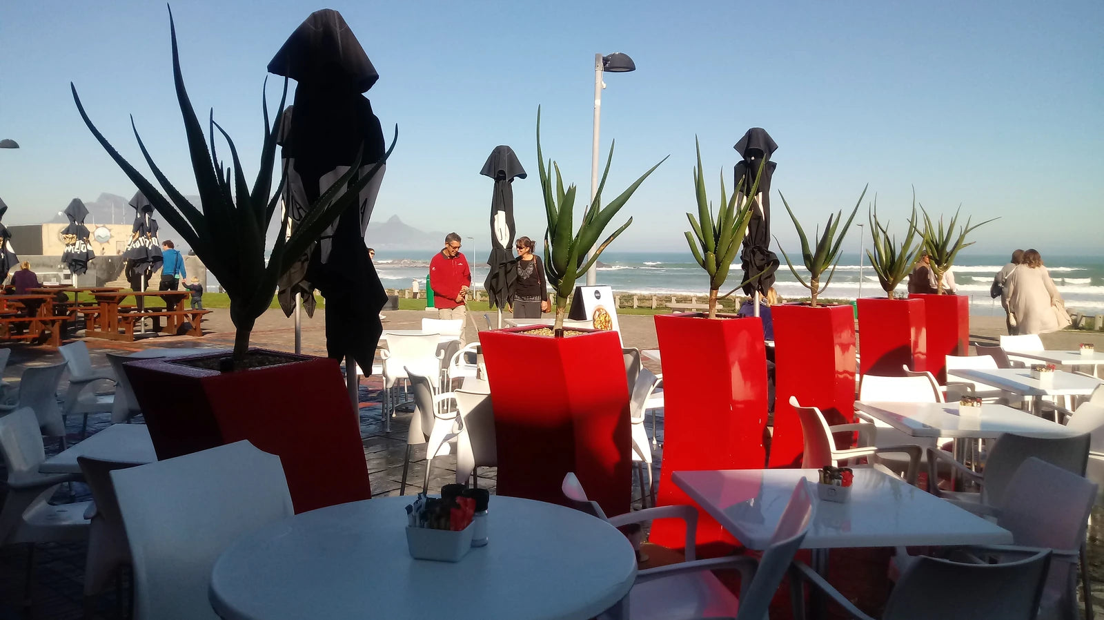 Eden Café Restaurant, Cape Town South Africa