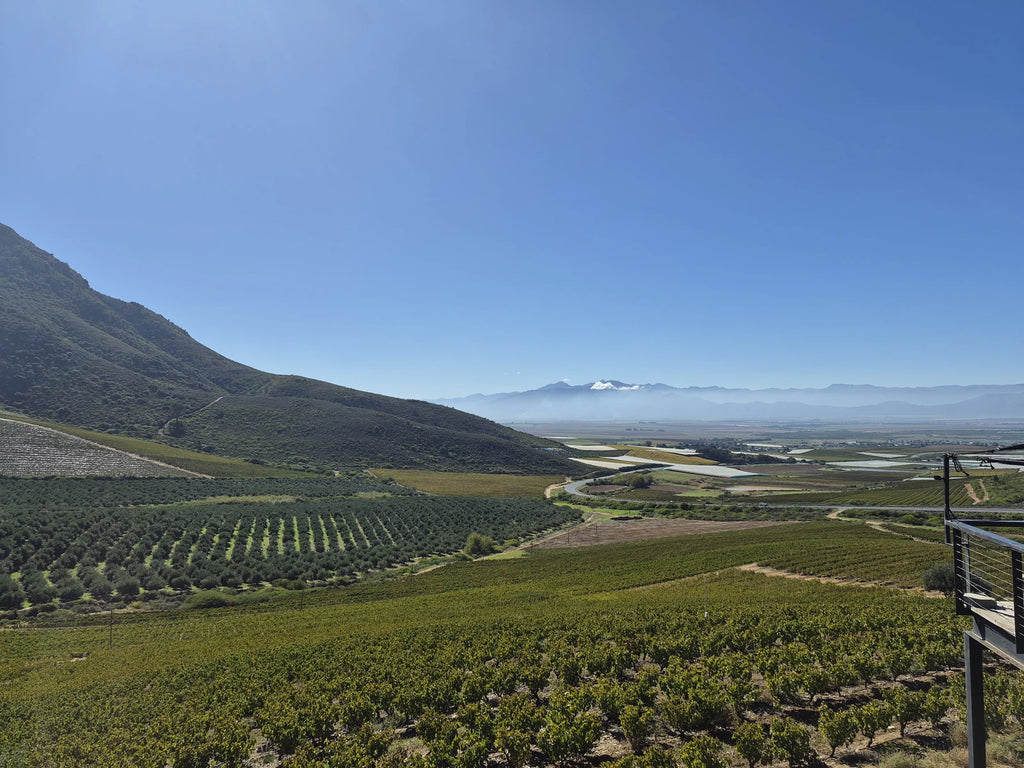 Eight Feet Village, Cape Town South Africa