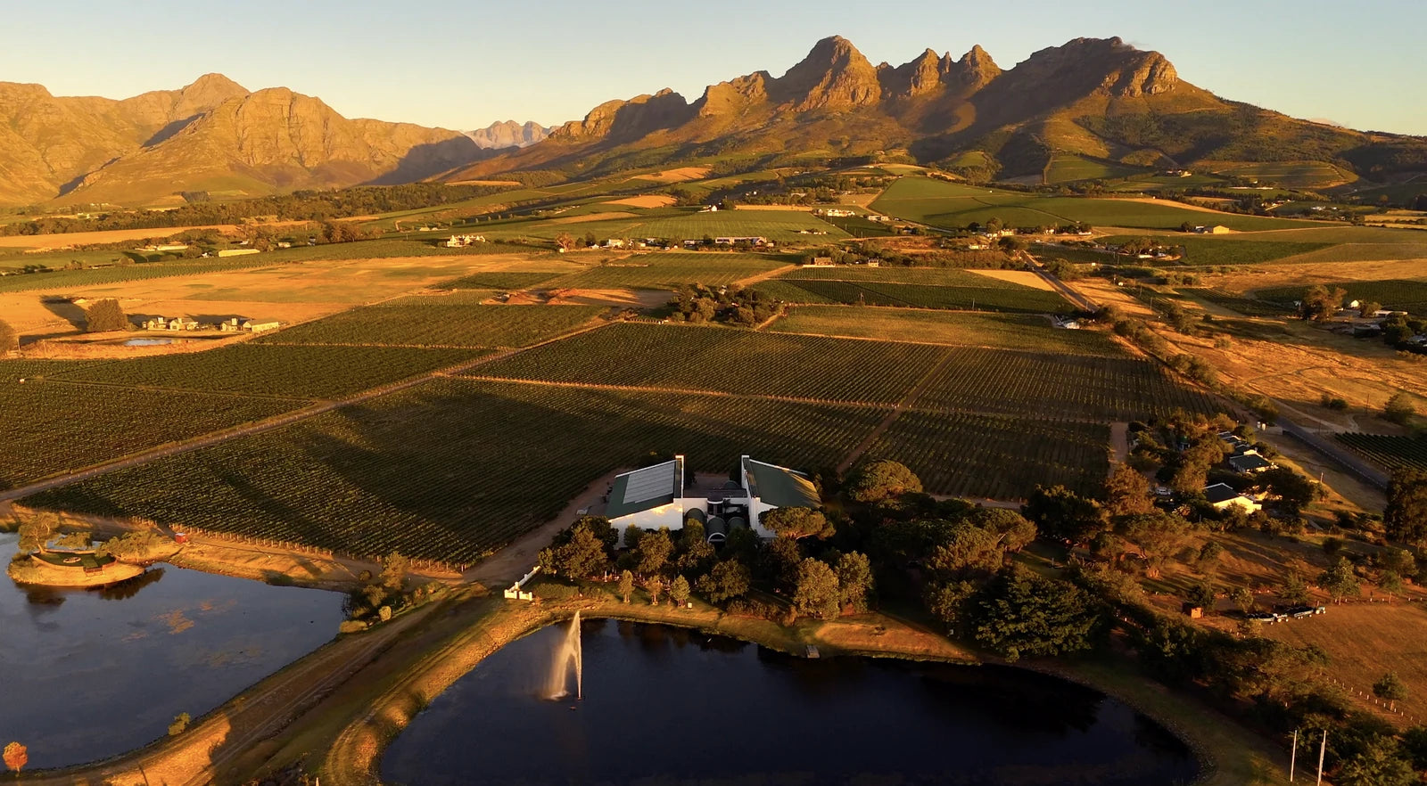 Eikendal Vineyards, Raithby South Africa