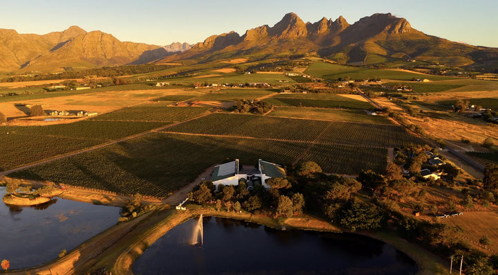Eikendal Vineyards