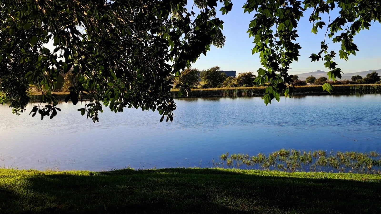 Eikendal Vineyards, Raithby South Africa