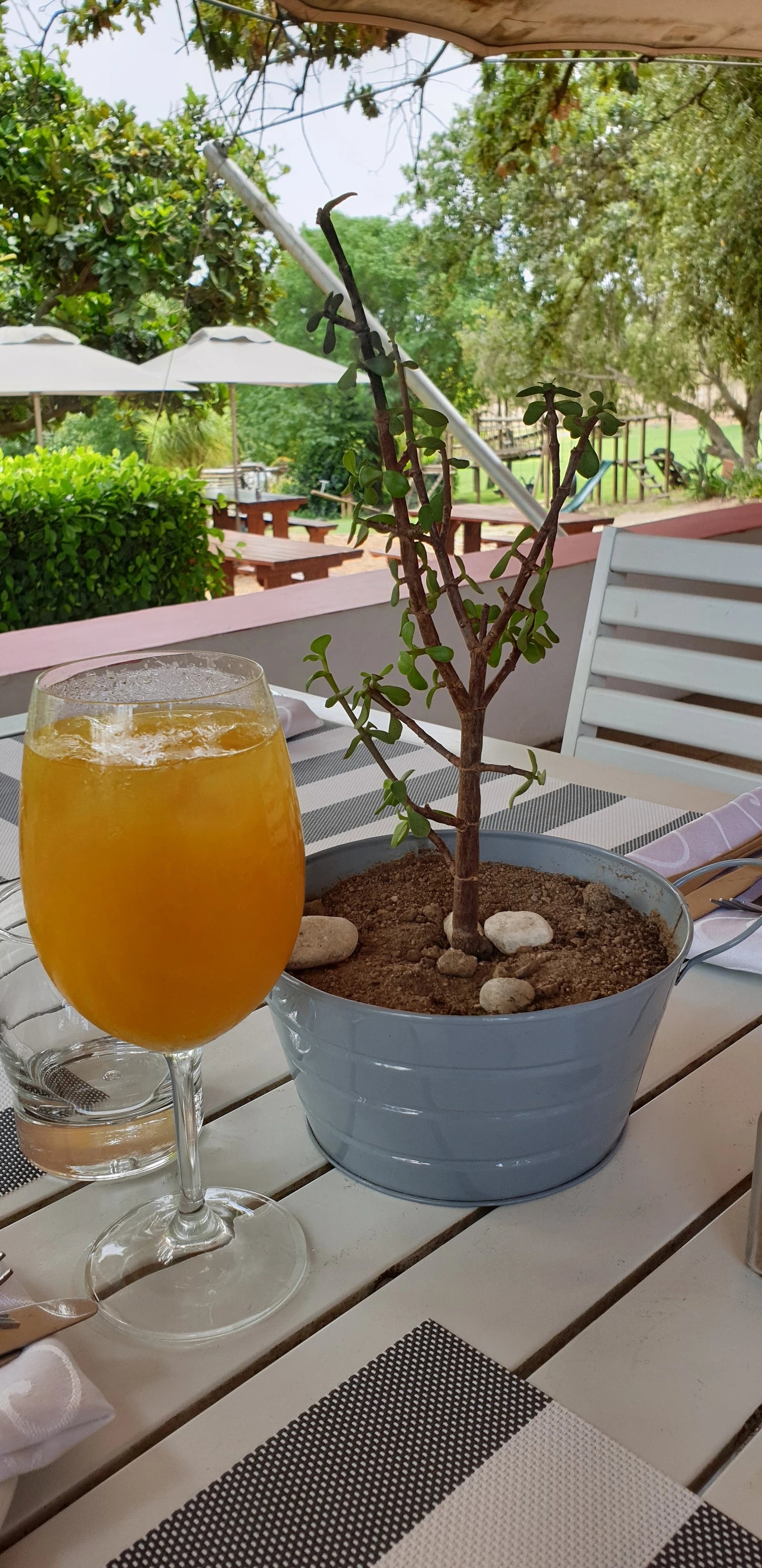 El Picoteo, Paarl South Africa