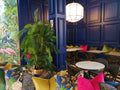 Elephant & Co Athlone, Pietermaritzburg South Africa