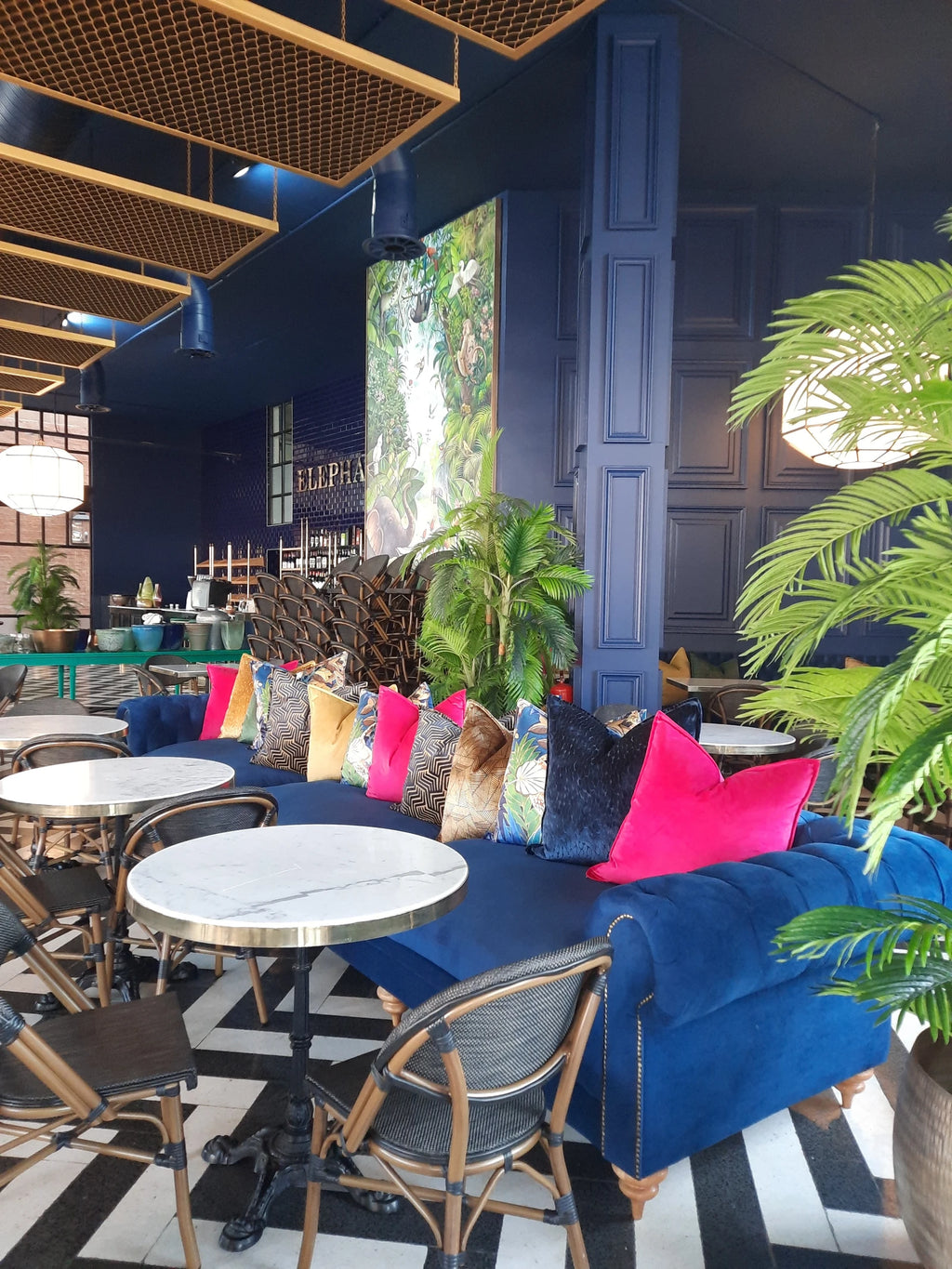 Elephant & Co Athlone, Pietermaritzburg South Africa
