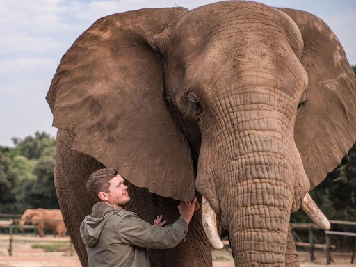 Elephant Sanctuary Hartbeespoort, Hartbeespoort South Africa