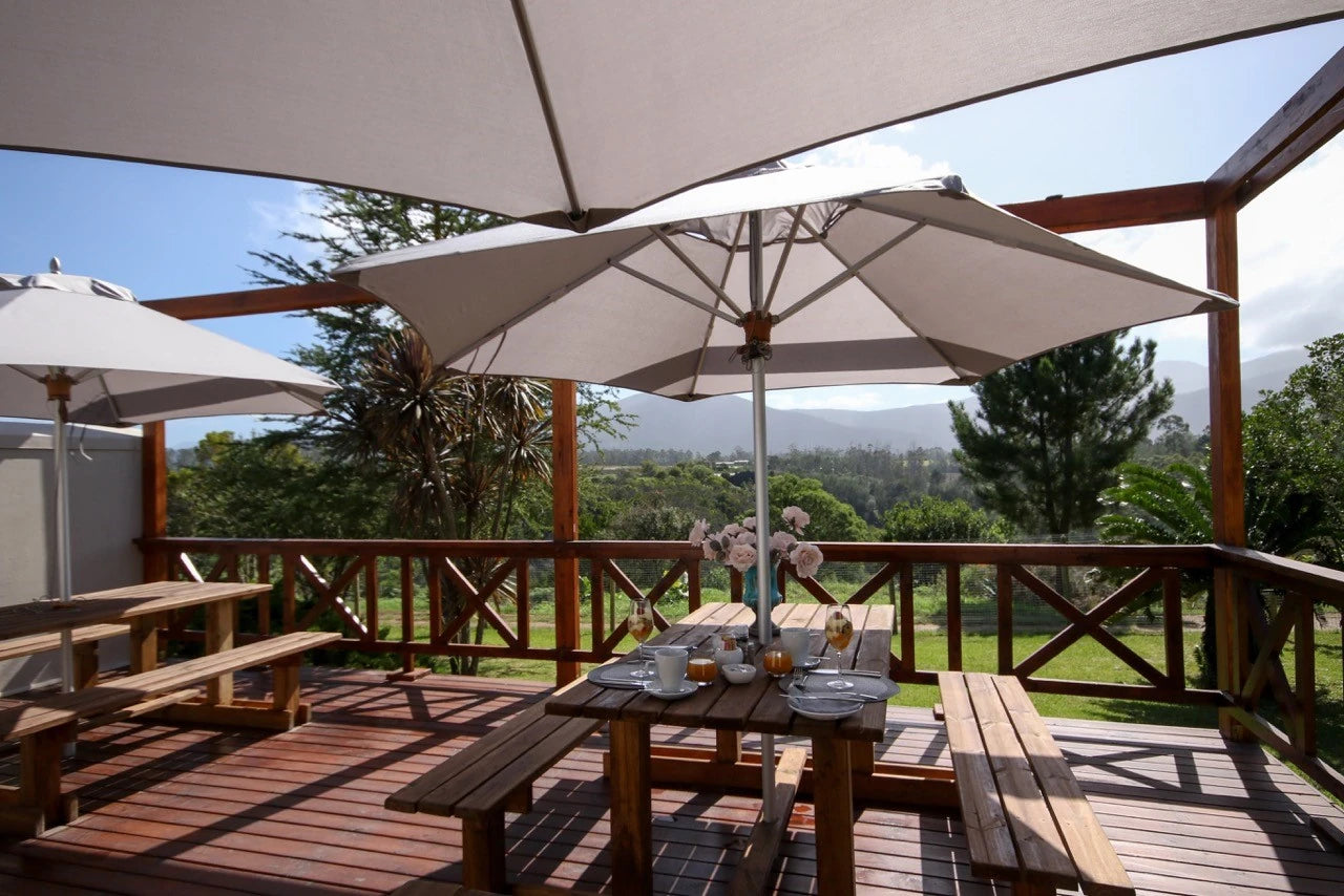 Elephant Sanctuary Plettenberg Bay 🐘, Plettenberg Bay South Africa