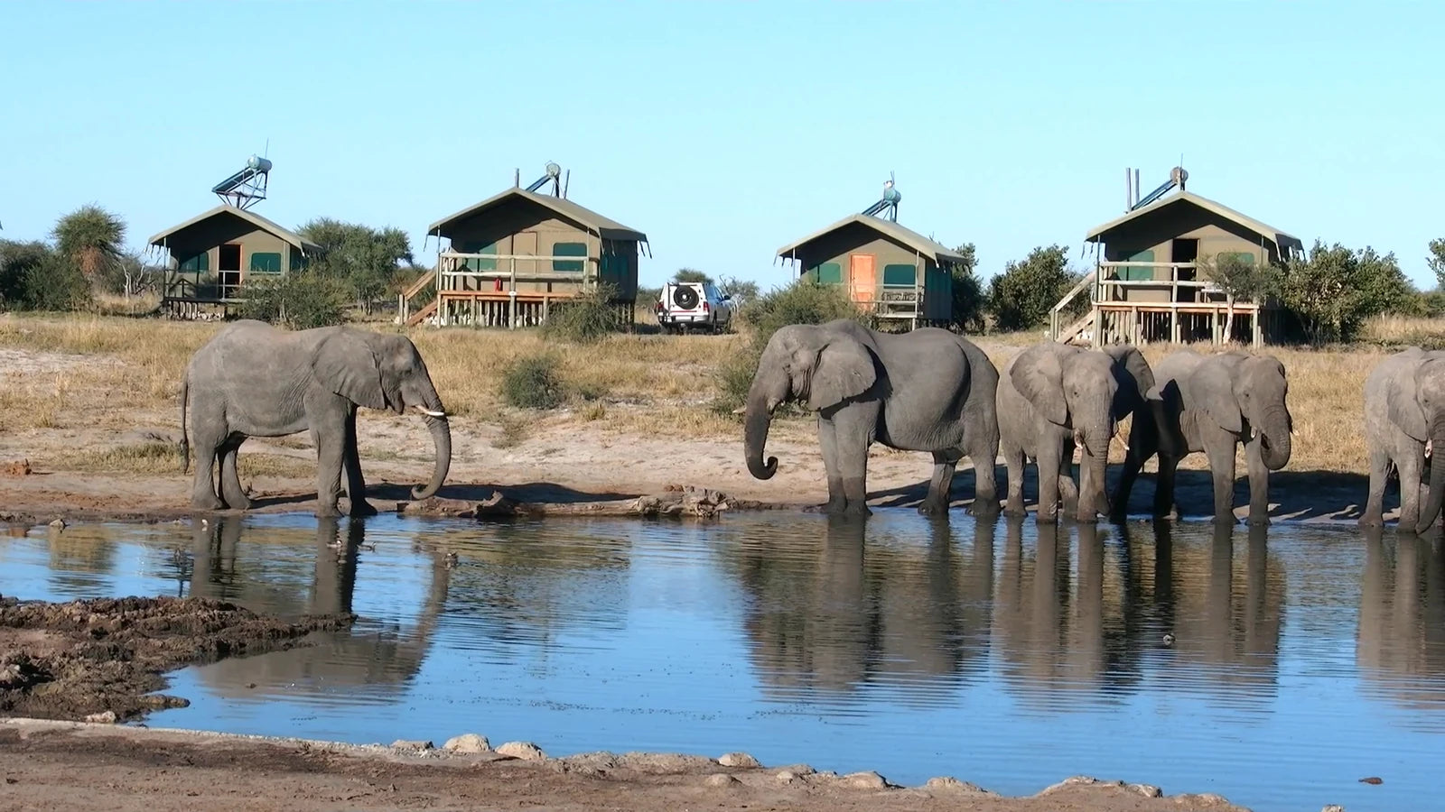 Elephant Sands Lodge, Nata Botswana