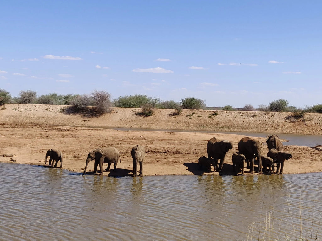 Erindi Private Game Reserve, Omaruru Namibia