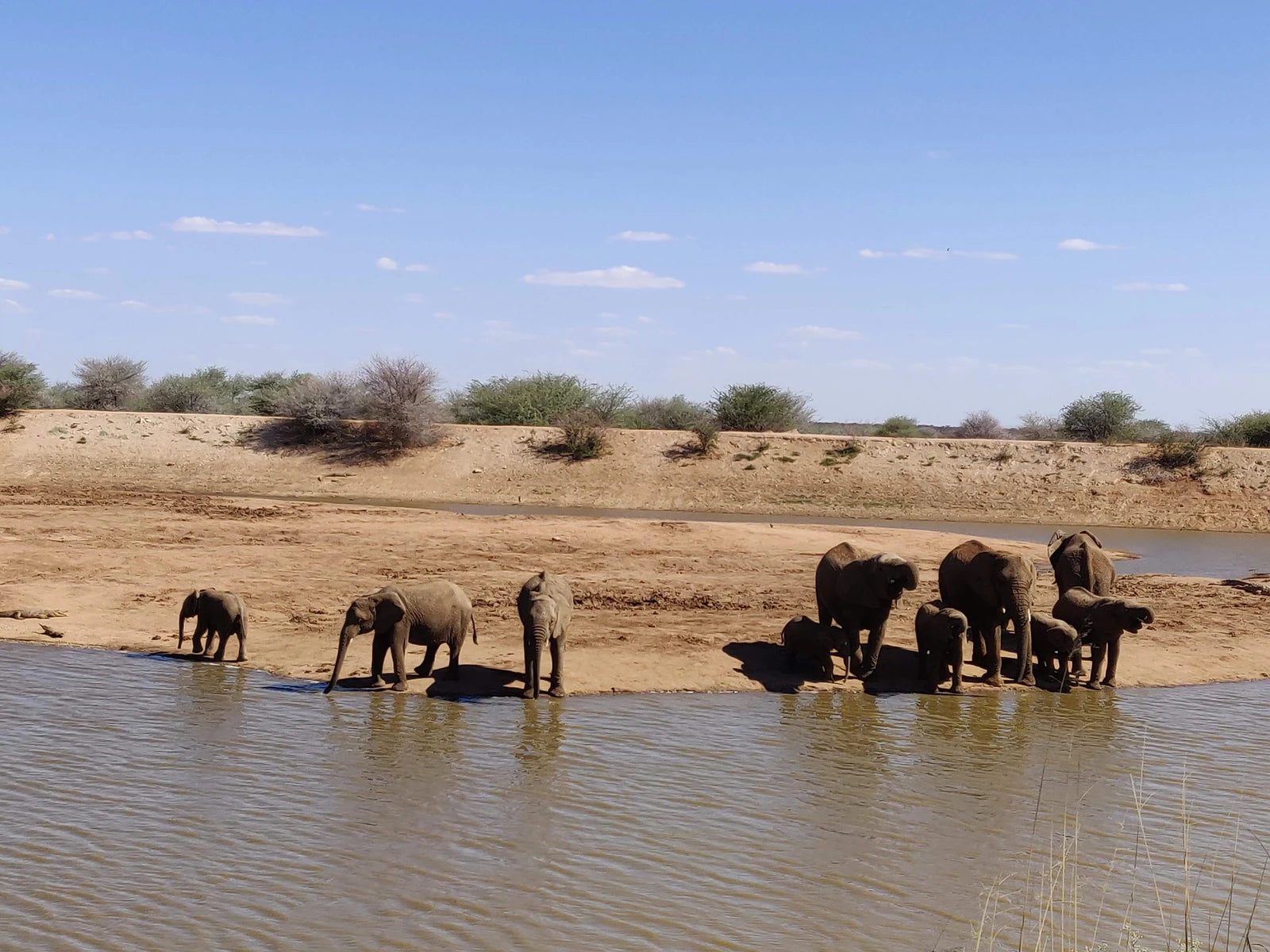 Erindi Private Game Reserve, Omaruru Namibia