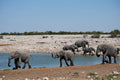 Etosha National Park,  Namibia