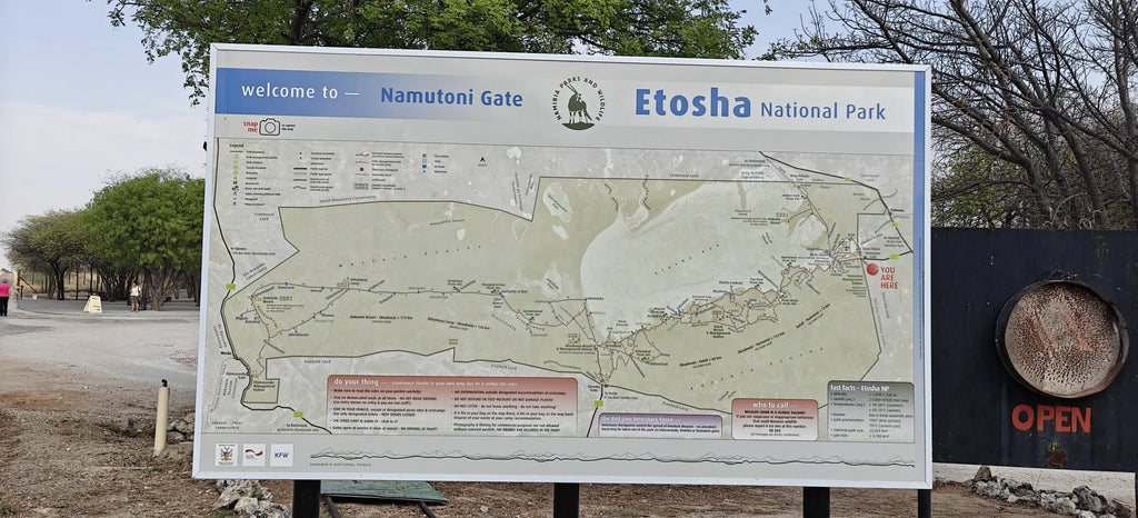Etosha National Park,  Namibia